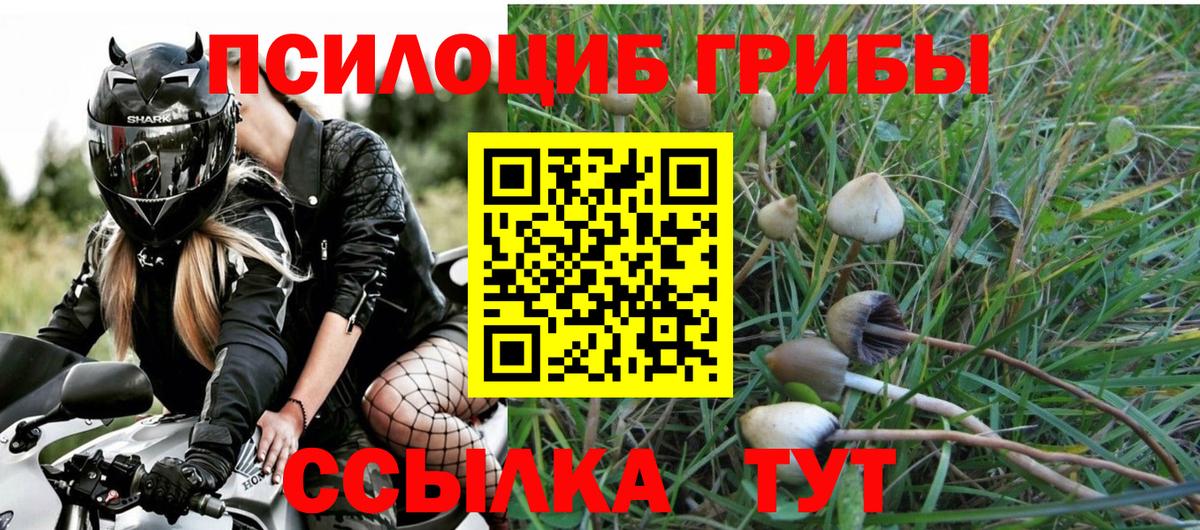 Псилоцибиновые грибы Cubensis Новороссийск